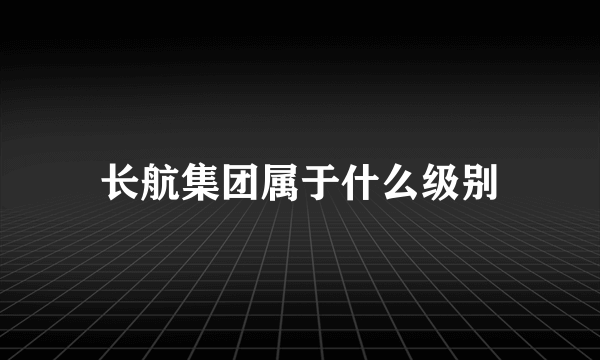 长航集团属于什么级别