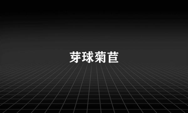 芽球菊苣