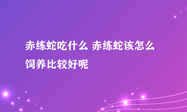 赤练蛇吃什么 赤练蛇该怎么饲养比较好呢