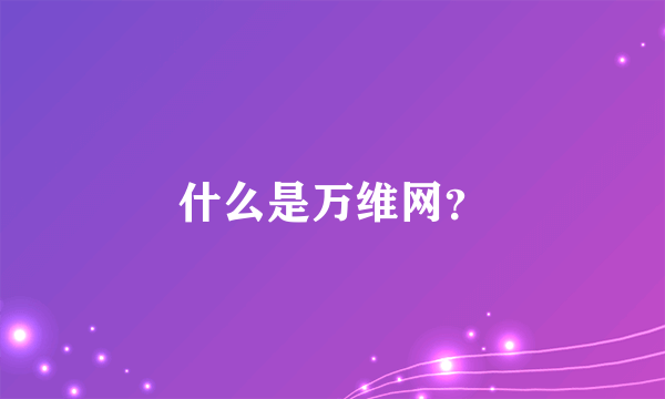什么是万维网？