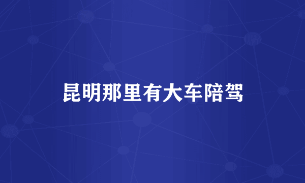 昆明那里有大车陪驾