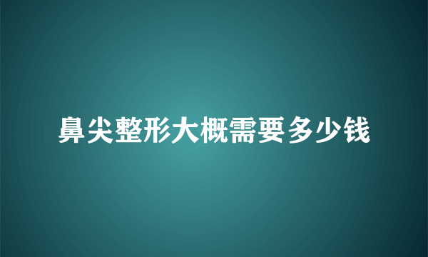 鼻尖整形大概需要多少钱