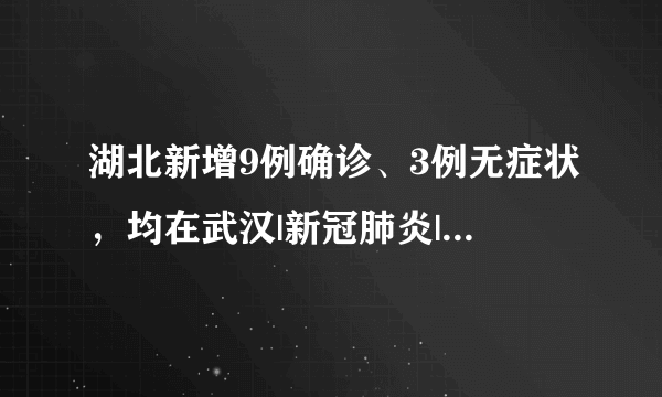 湖北新增9例确诊、3例无症状，均在武汉|新冠肺炎|武汉|湖北