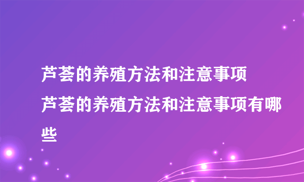 芦荟的养殖方法和注意事项 芦荟的养殖方法和注意事项有哪些