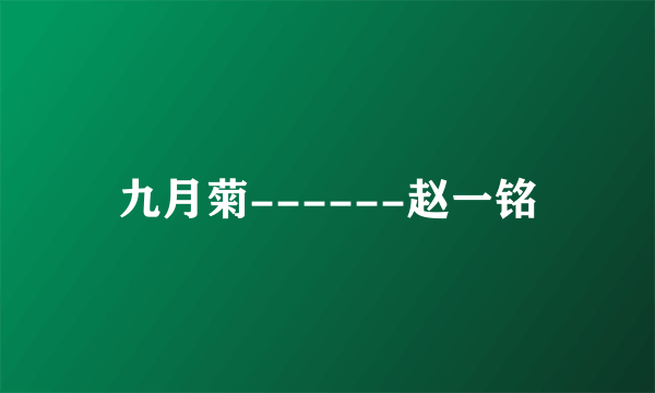 九月菊------赵一铭