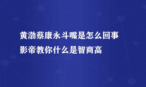 黄渤蔡康永斗嘴是怎么回事 影帝教你什么是智商高