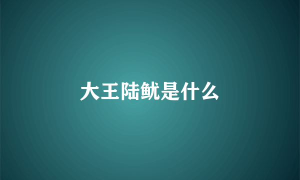 大王陆鱿是什么