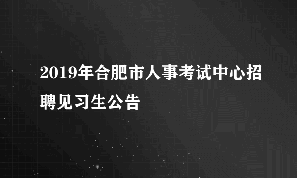 2019年合肥市人事考试中心招聘见习生公告