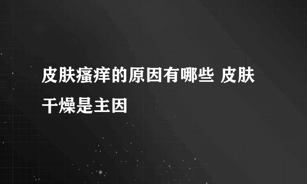皮肤瘙痒的原因有哪些 皮肤干燥是主因