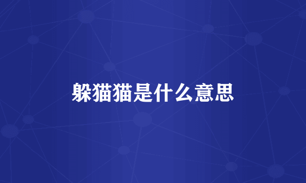 躲猫猫是什么意思