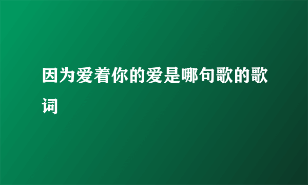 因为爱着你的爱是哪句歌的歌词