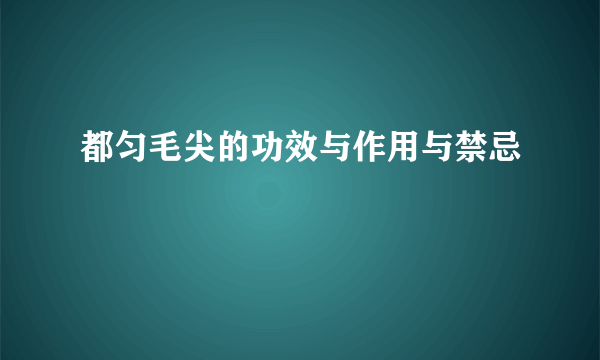 都匀毛尖的功效与作用与禁忌