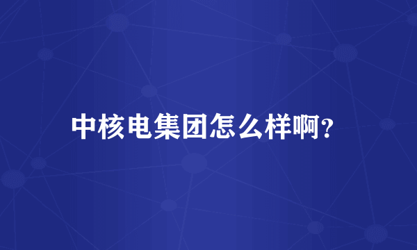 中核电集团怎么样啊？