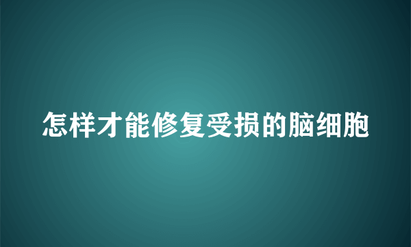 怎样才能修复受损的脑细胞