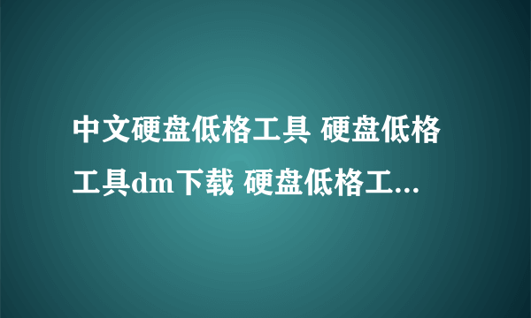 中文硬盘低格工具 硬盘低格工具dm下载 硬盘低格工具肿么用