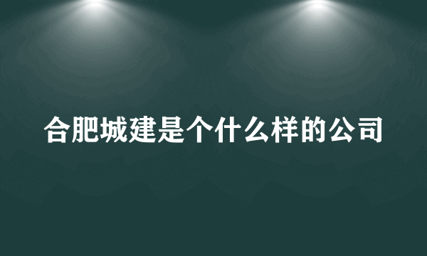 合肥城建是个什么样的公司