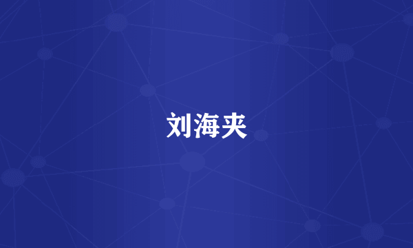 刘海夹