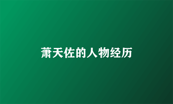 萧天佐的人物经历