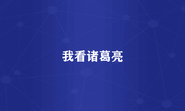 我看诸葛亮