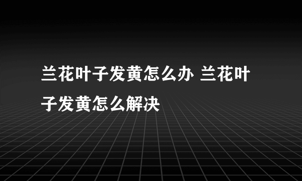 兰花叶子发黄怎么办 兰花叶子发黄怎么解决