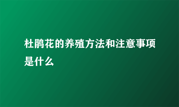 杜鹃花的养殖方法和注意事项是什么