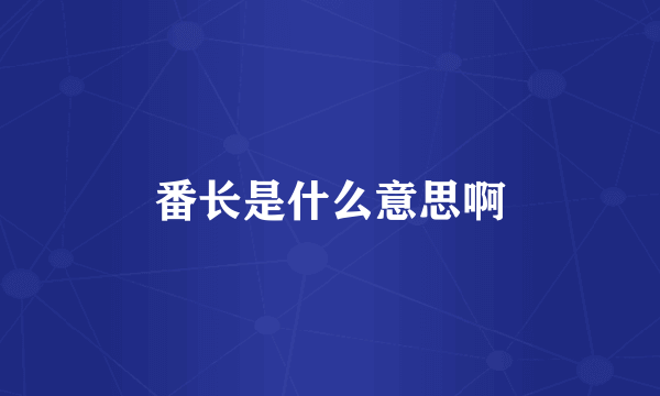 番长是什么意思啊