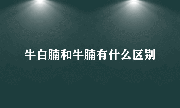 牛白腩和牛腩有什么区别