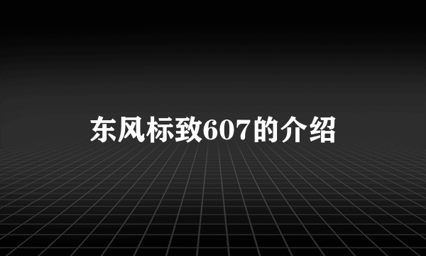 东风标致607的介绍