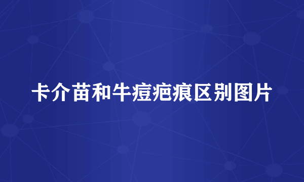卡介苗和牛痘疤痕区别图片