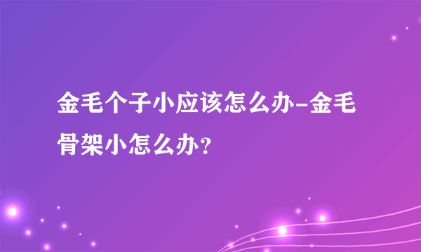 金毛个子小应该怎么办-金毛骨架小怎么办？