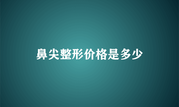 鼻尖整形价格是多少