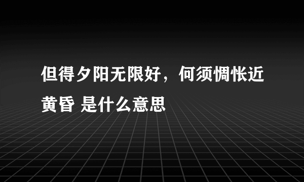 但得夕阳无限好，何须惆怅近黄昏 是什么意思