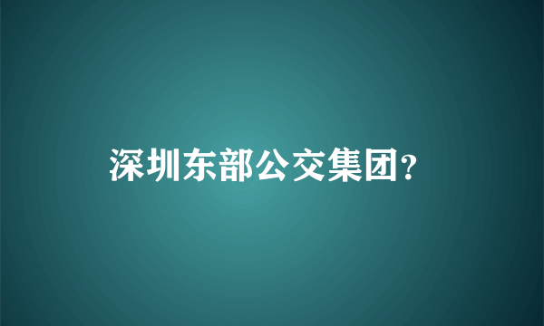 深圳东部公交集团？
