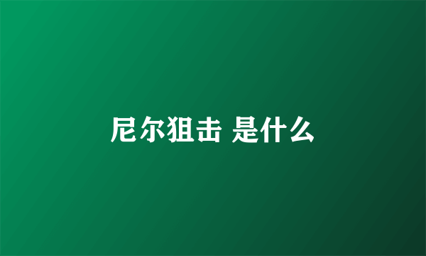 尼尔狙击 是什么