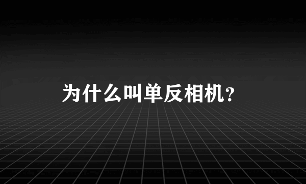 为什么叫单反相机？