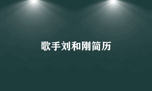 歌手刘和刚简历