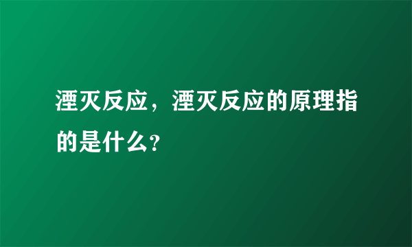 湮灭反应，湮灭反应的原理指的是什么？