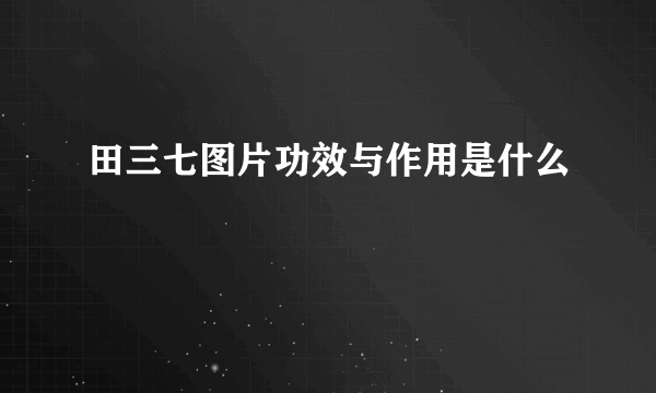 田三七图片功效与作用是什么