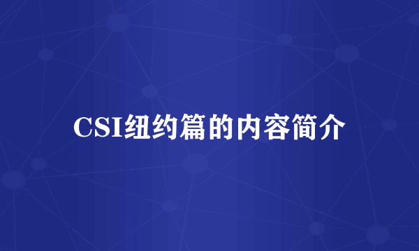 CSI纽约篇的内容简介