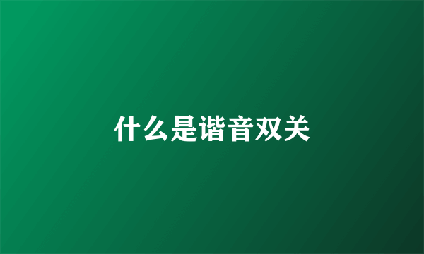 什么是谐音双关
