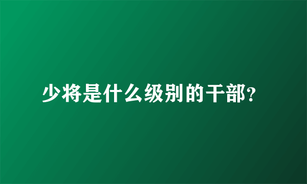 少将是什么级别的干部？