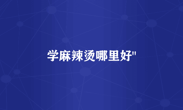 学麻辣烫哪里好