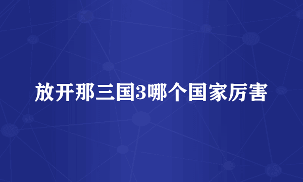 放开那三国3哪个国家厉害