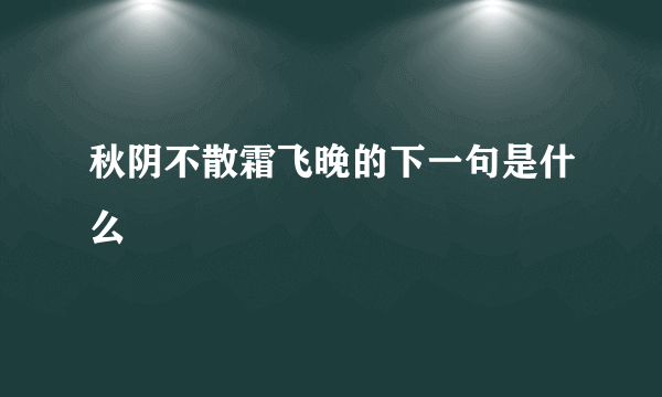秋阴不散霜飞晚的下一句是什么