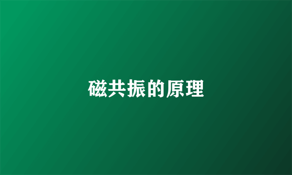磁共振的原理