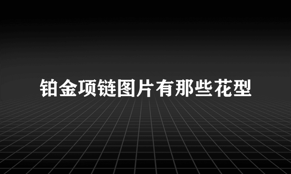 铂金项链图片有那些花型