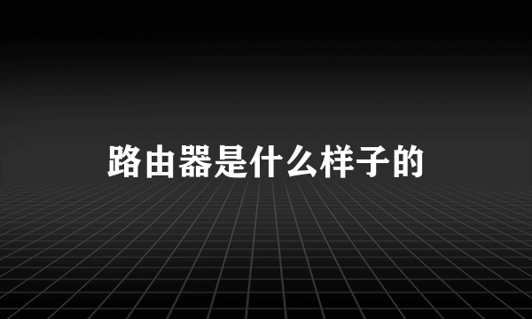 路由器是什么样子的