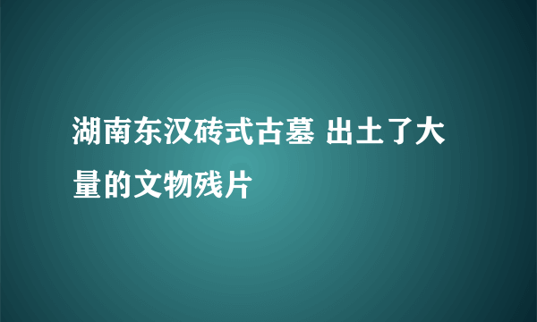 湖南东汉砖式古墓 出土了大量的文物残片