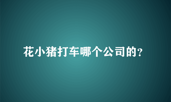 花小猪打车哪个公司的？
