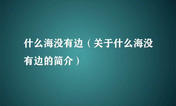 什么海没有边（关于什么海没有边的简介）
